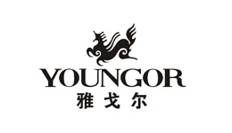 宁波雅戈尔集团 